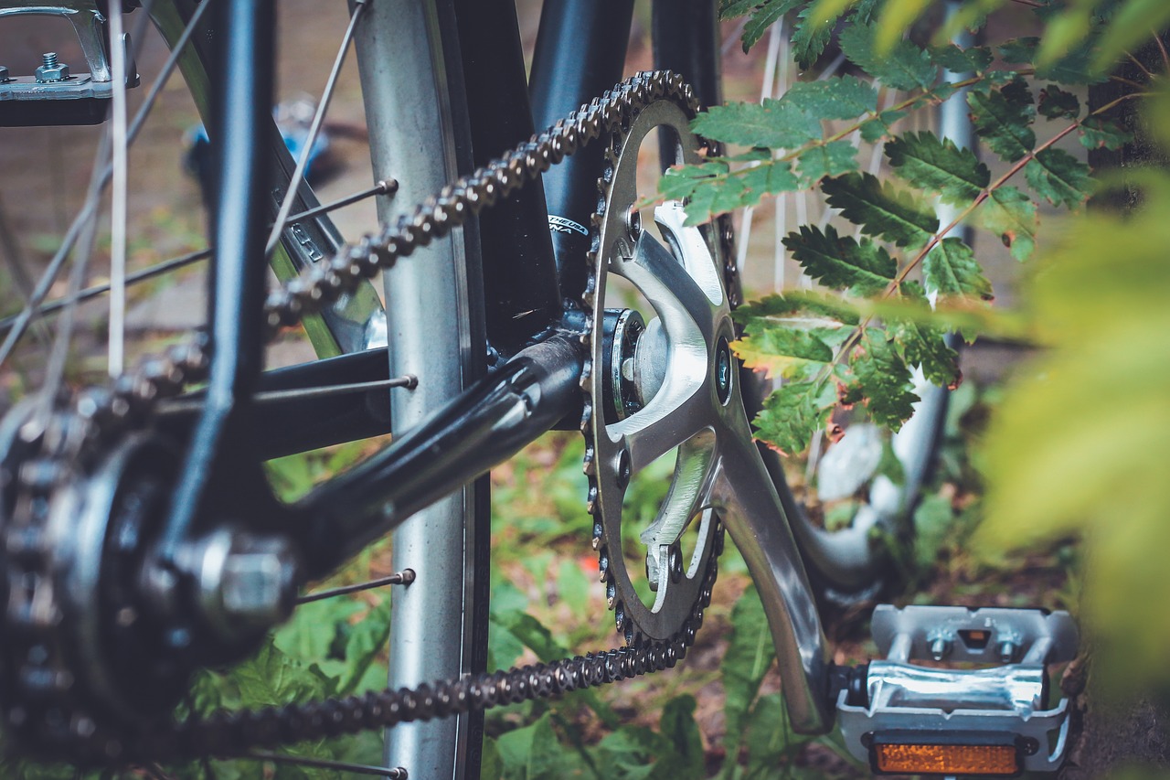 Bike transmission. How to tighten and adjust the bicycle chain